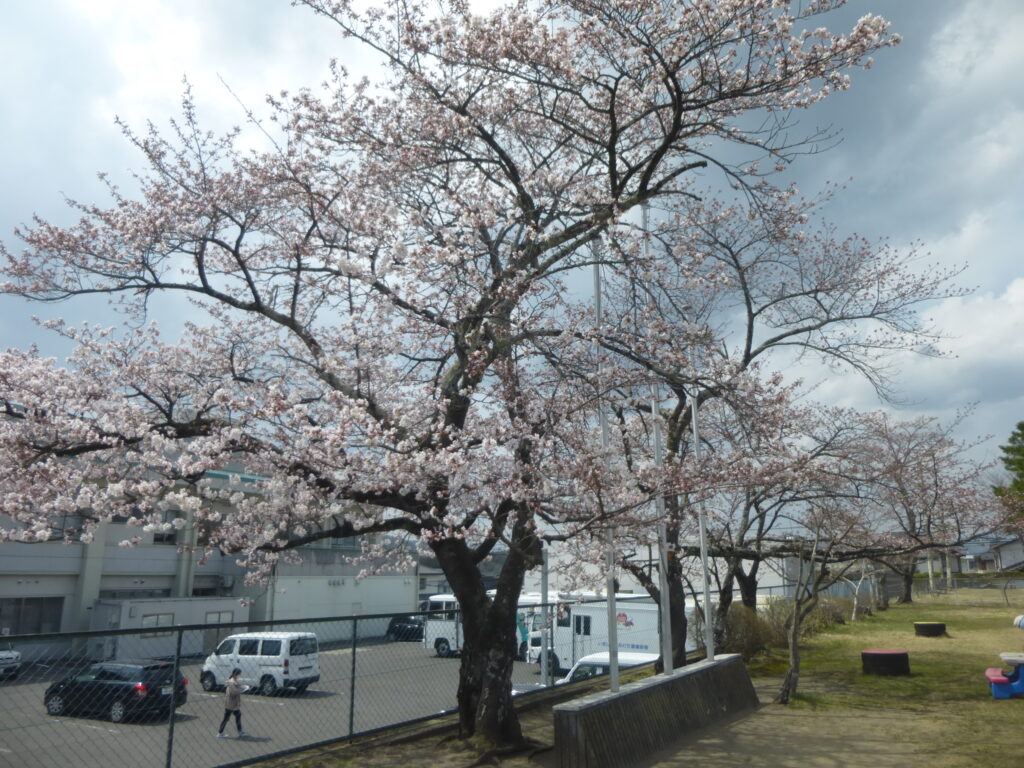 令和7年度がスタートしました！！